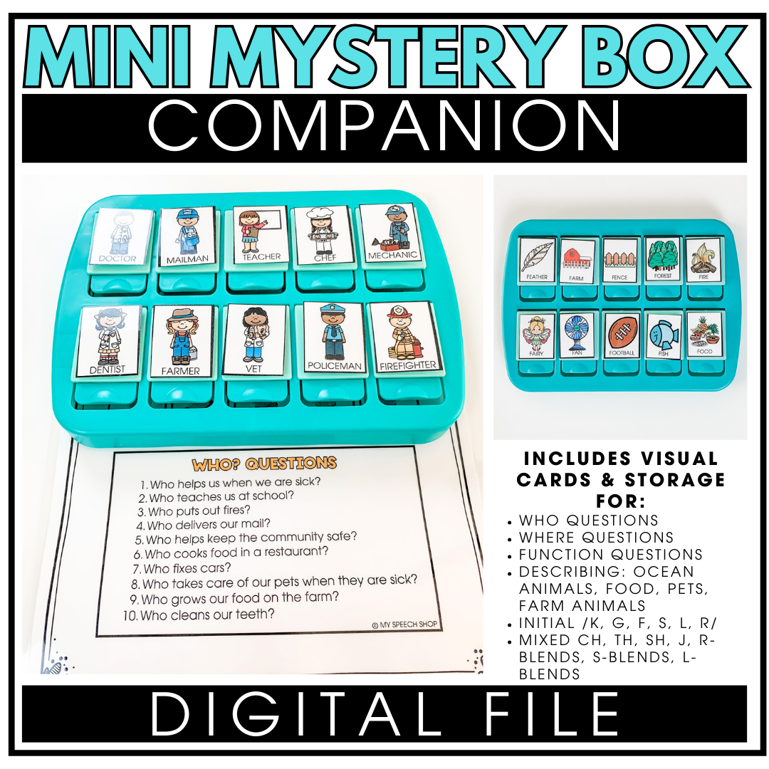 Mini Mystery Match-Up Digital File