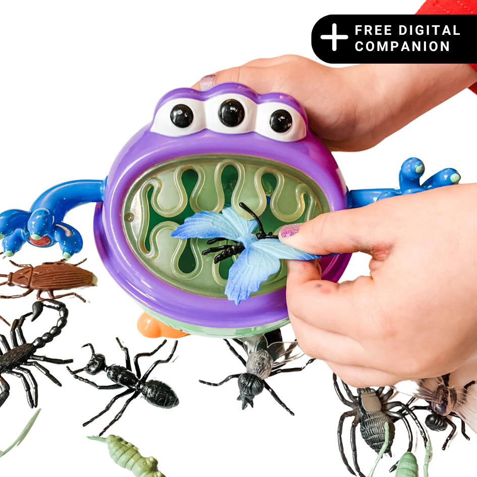 Feed the Monster Toy